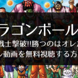 ドラゴンボールz 危険なふたり 超戦士はねむれない の動画を無料で見る方法 高画質 広告なし